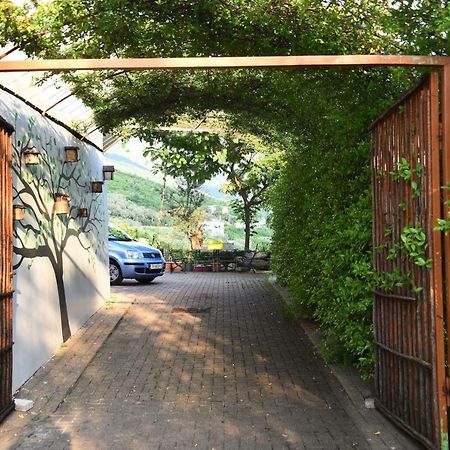 #Ioniahouse Surrel Villa Tirana Exterior foto