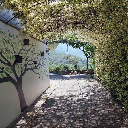 #Ioniahouse Surrel Villa Tirana Exterior foto